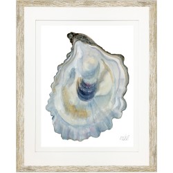 KS- OYSTER SHELL 13
